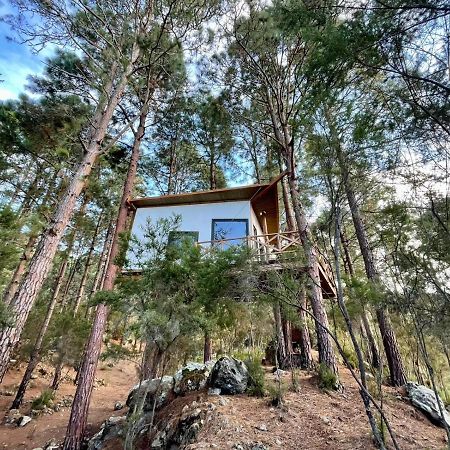 Casita Colgada "Can Lia" La Guancha エクステリア 写真