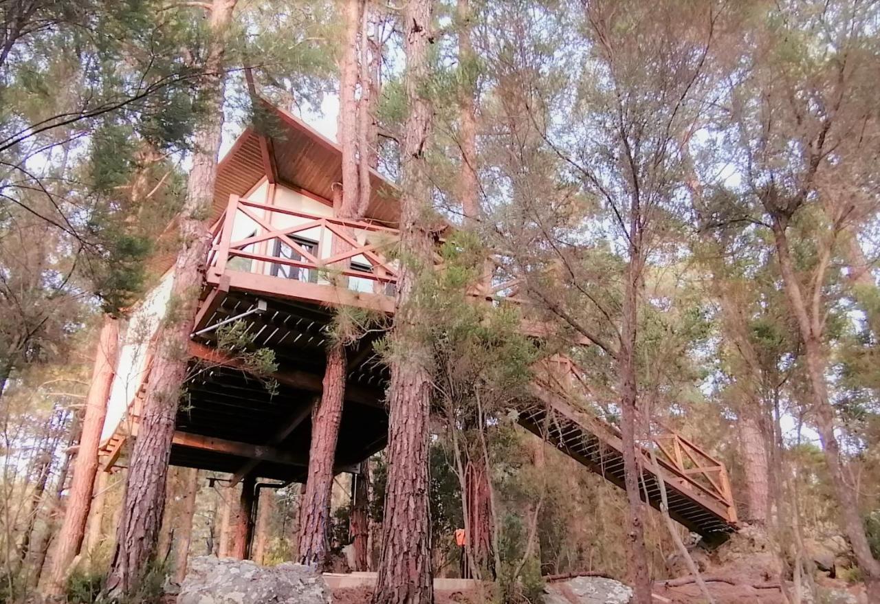 Casita Colgada "Can Lia" La Guancha エクステリア 写真