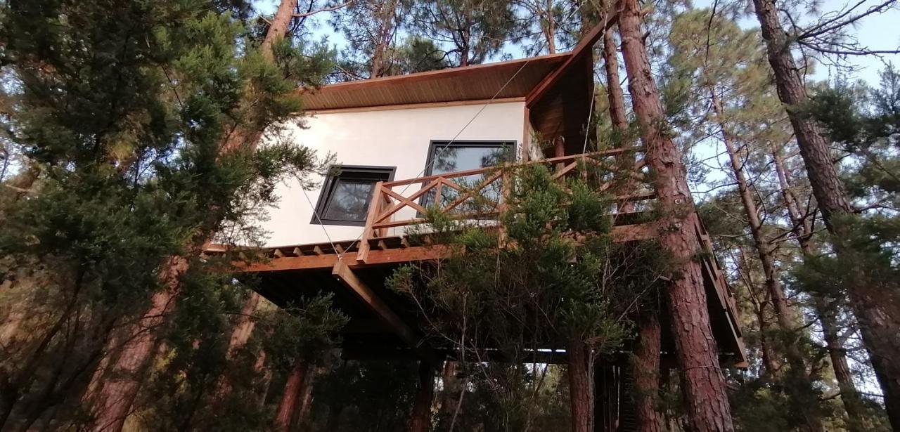 Casita Colgada "Can Lia" La Guancha エクステリア 写真