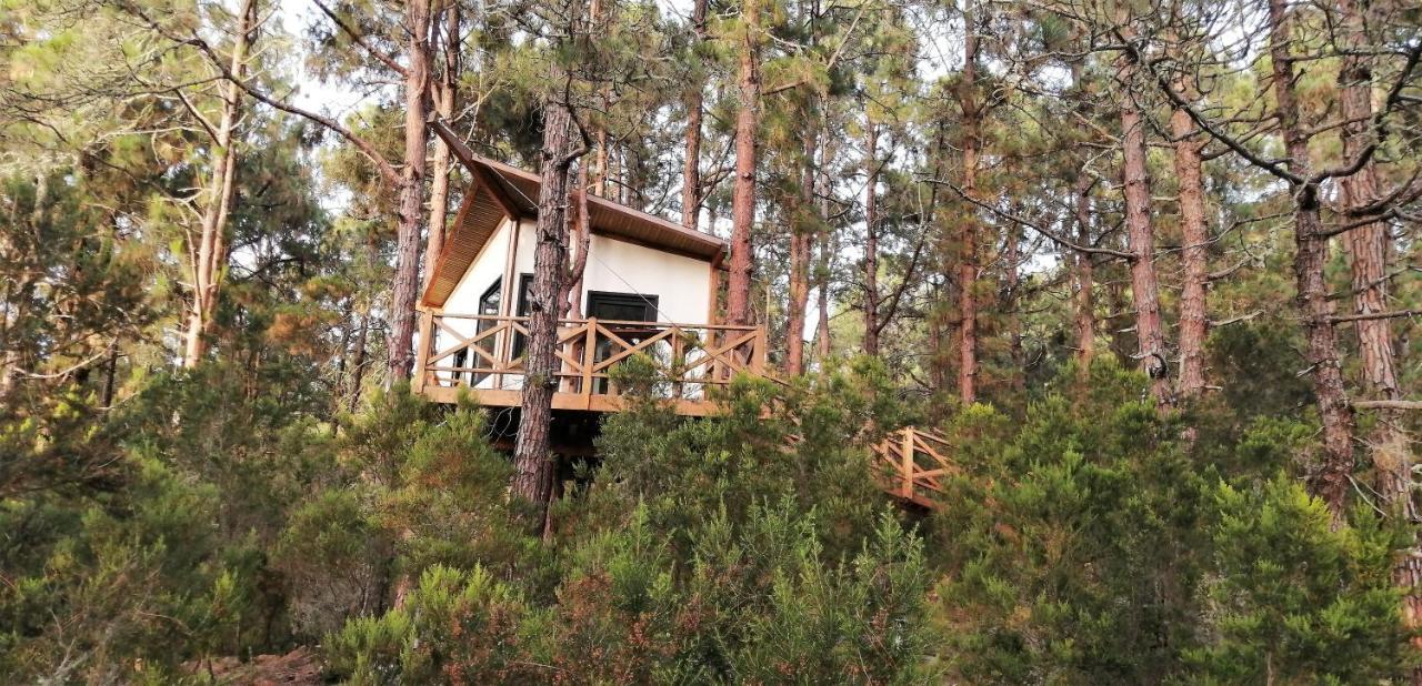 Casita Colgada "Can Lia" La Guancha エクステリア 写真
