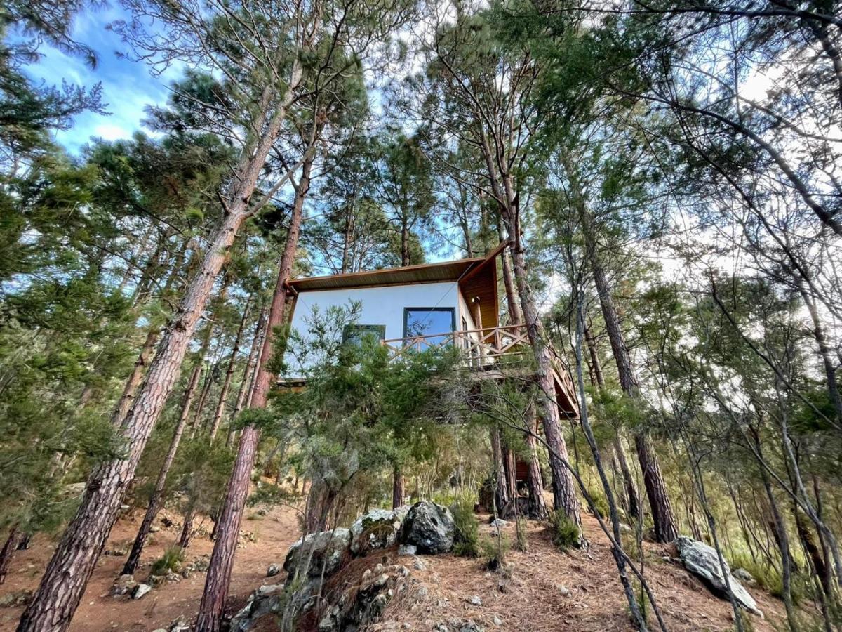 Casita Colgada "Can Lia" La Guancha エクステリア 写真
